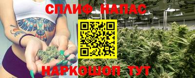шишки Краснознаменск