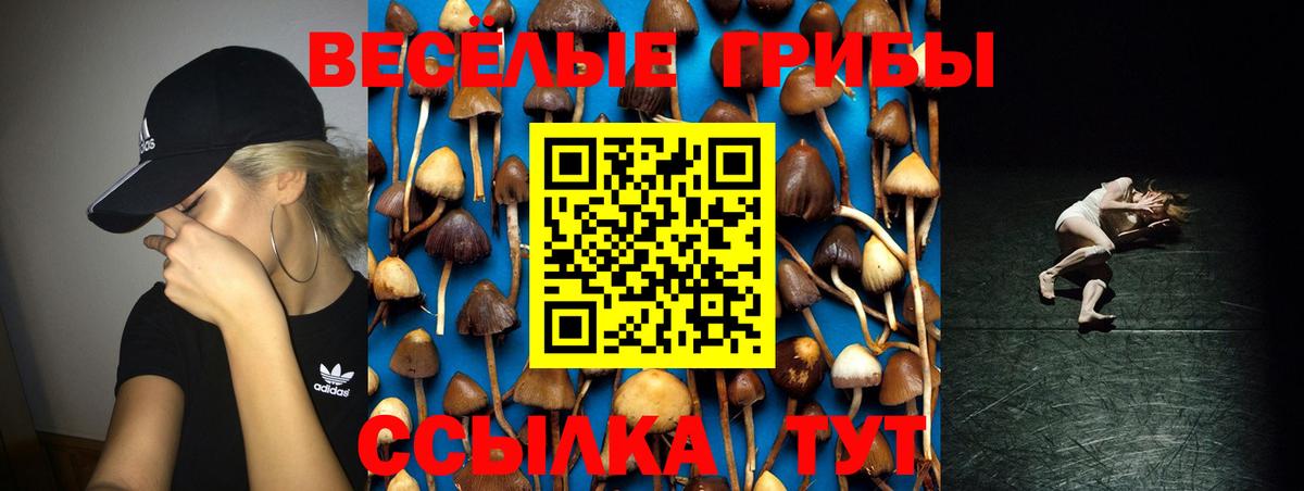 Кисловодск  Галлюциногенные грибы Psilocybe  Вход с VPN  Галлюциногенные грибы Psilocybine cubensis 