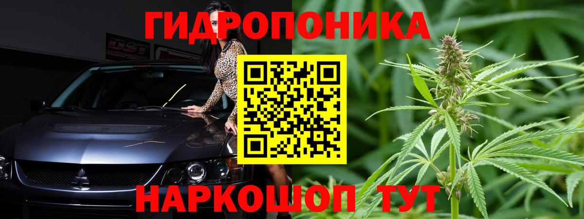 Марихуана планчик  Бошки марихуана VHQ  Бошки марихуана MAZAR  Конопля план  Кисловодск  Вход с VPN 